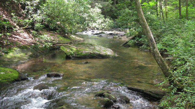 Coleman River Scenic Area