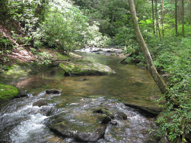 Coleman River Scenic Area