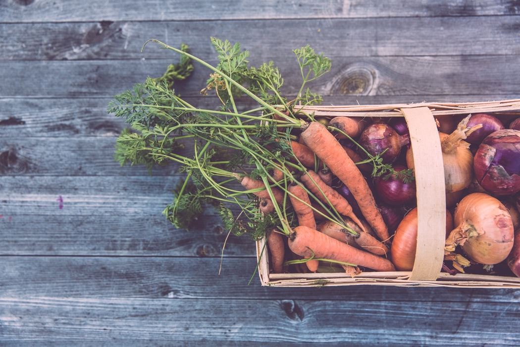 How to Grow a Garden | Auburn Seventh-day Adventist Church